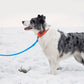 Longe imperméable en PVC renforcé pour Chien – 5 m à 20 m