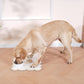 Tapis gamelle absorbant en diatomite pour chien et chat