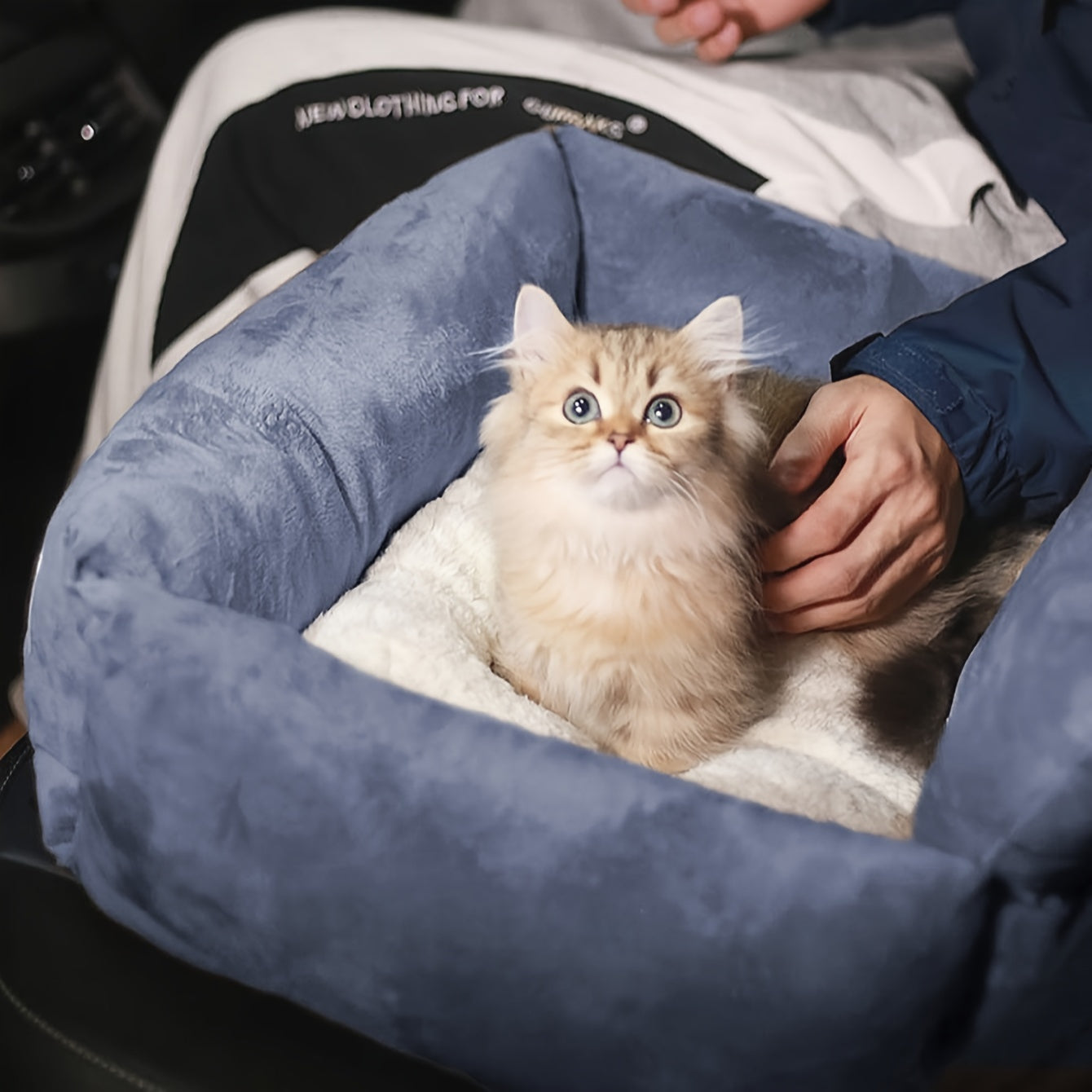Siège auto en peluche pour petits chiens et chats