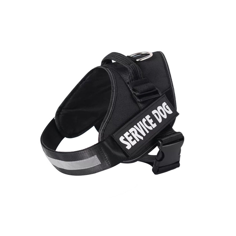 Harnais Ergonomique Anti-Traction avec Laisse – Sécurité & Confort en Promenade