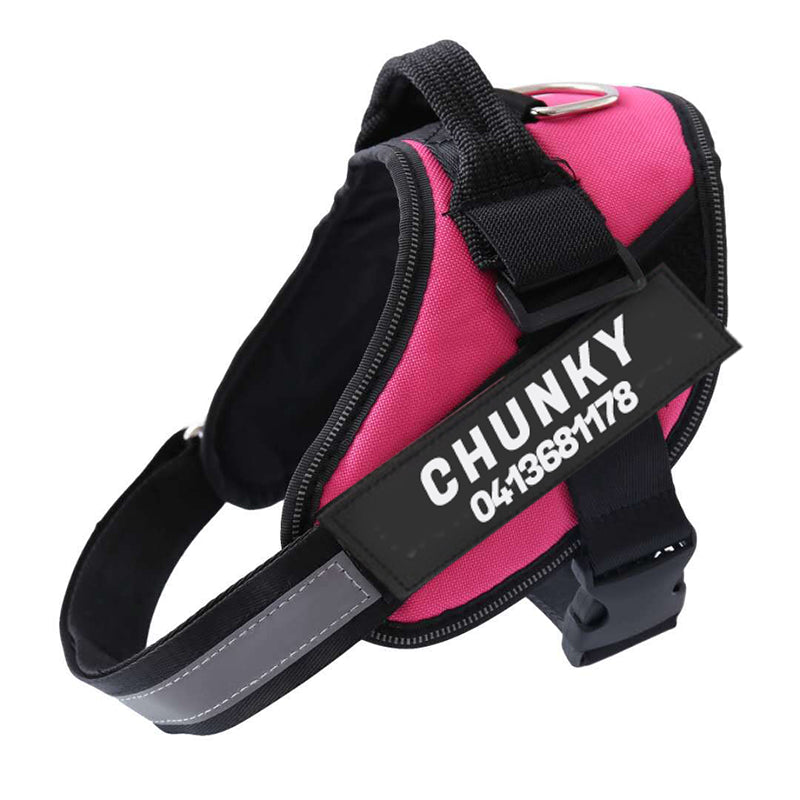 Harnais Ergonomique Anti-Traction avec Laisse – Sécurité & Confort en Promenade