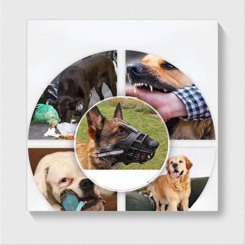 Muselière Réglable Antimorsure pour Chiens Moyens et Grands