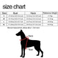 Harnais en Y Confort Total pour Chien – Anti-Traction & Respirant