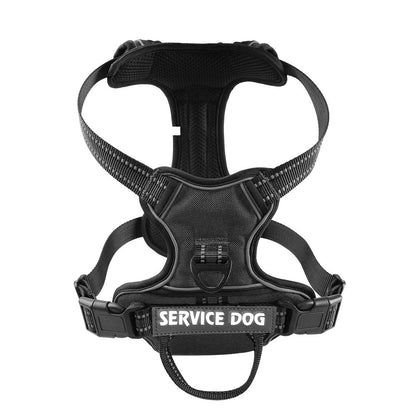 Harnais en Y Confort Total pour Chien – Anti-Traction & Respirant