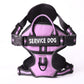 Harnais en Y Confort Total pour Chien – Anti-Traction & Respirant
