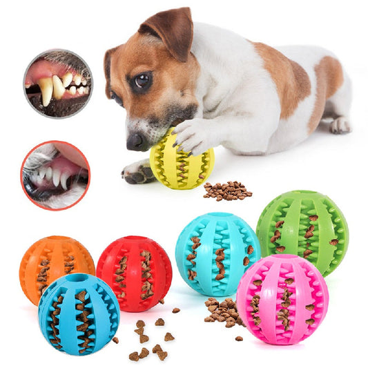 Balle à Mâcher Dentée avec Distributeur de Friandises