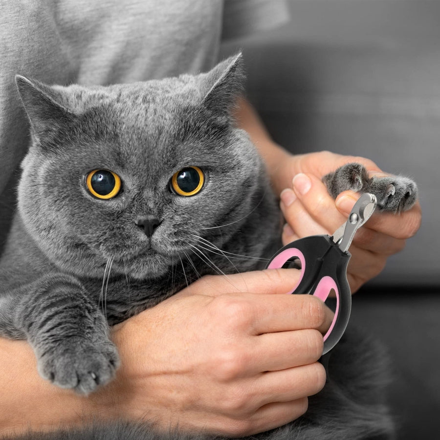 Coupe-Griffes Petit Modèle pour Animaux