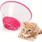 Collerette de Récupération Souple pour Chiens et Chats