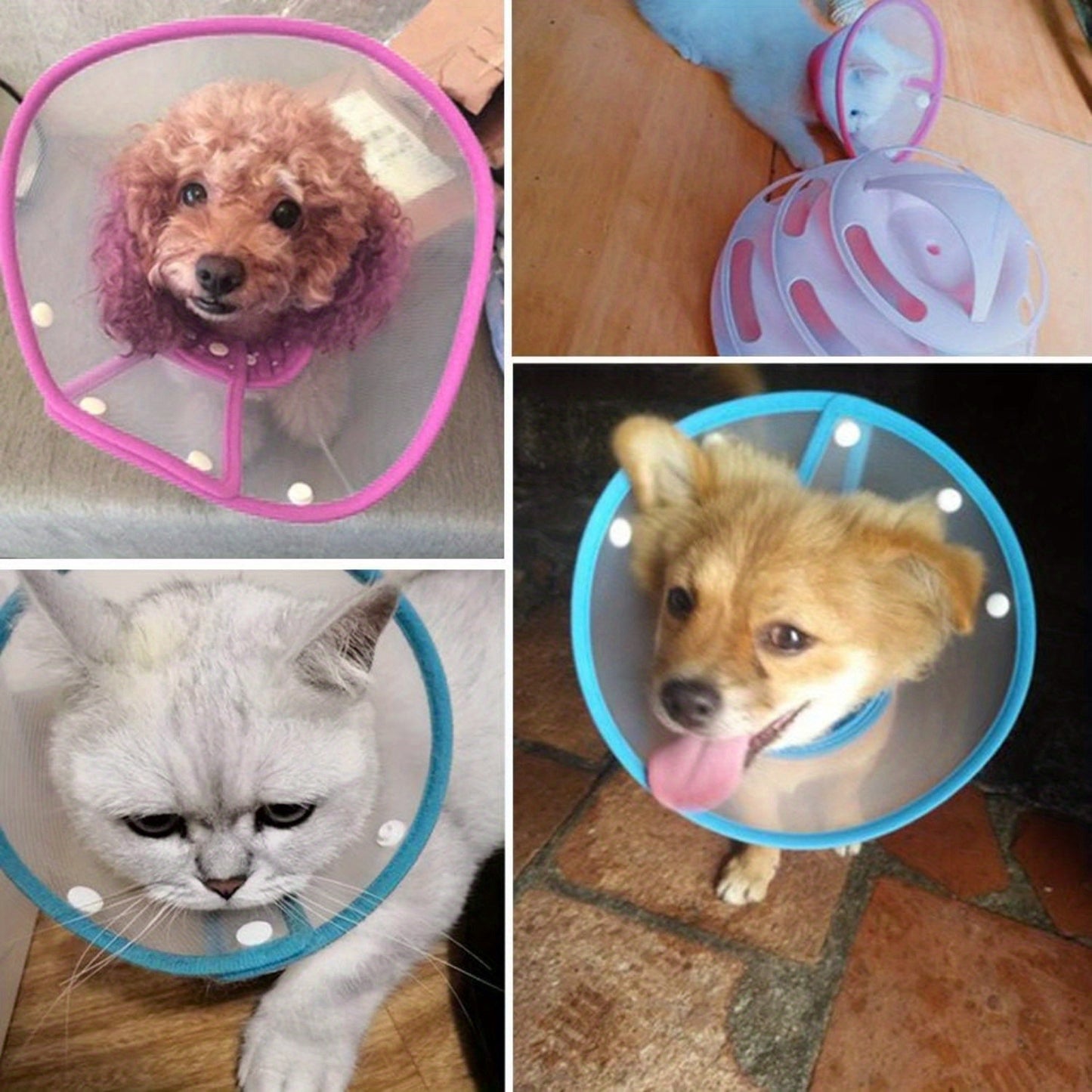 Collerette de Récupération Souple pour Chiens et Chats
