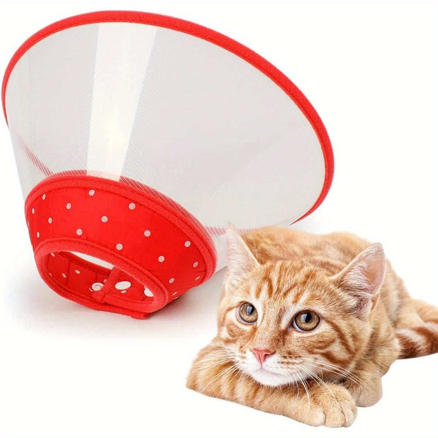 Collerette de Récupération Souple pour Chiens et Chats
