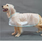 Imperméable Transparent à Capuche pour Chiens de Grande Taille