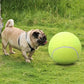 Balle de Tennis Géante pour Chien – 24 cm