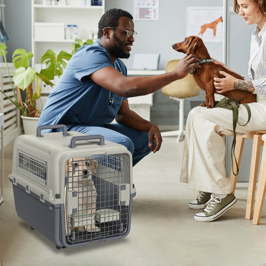 Caisse de Transport Rigide à Roulettes pour Chien ou Chat