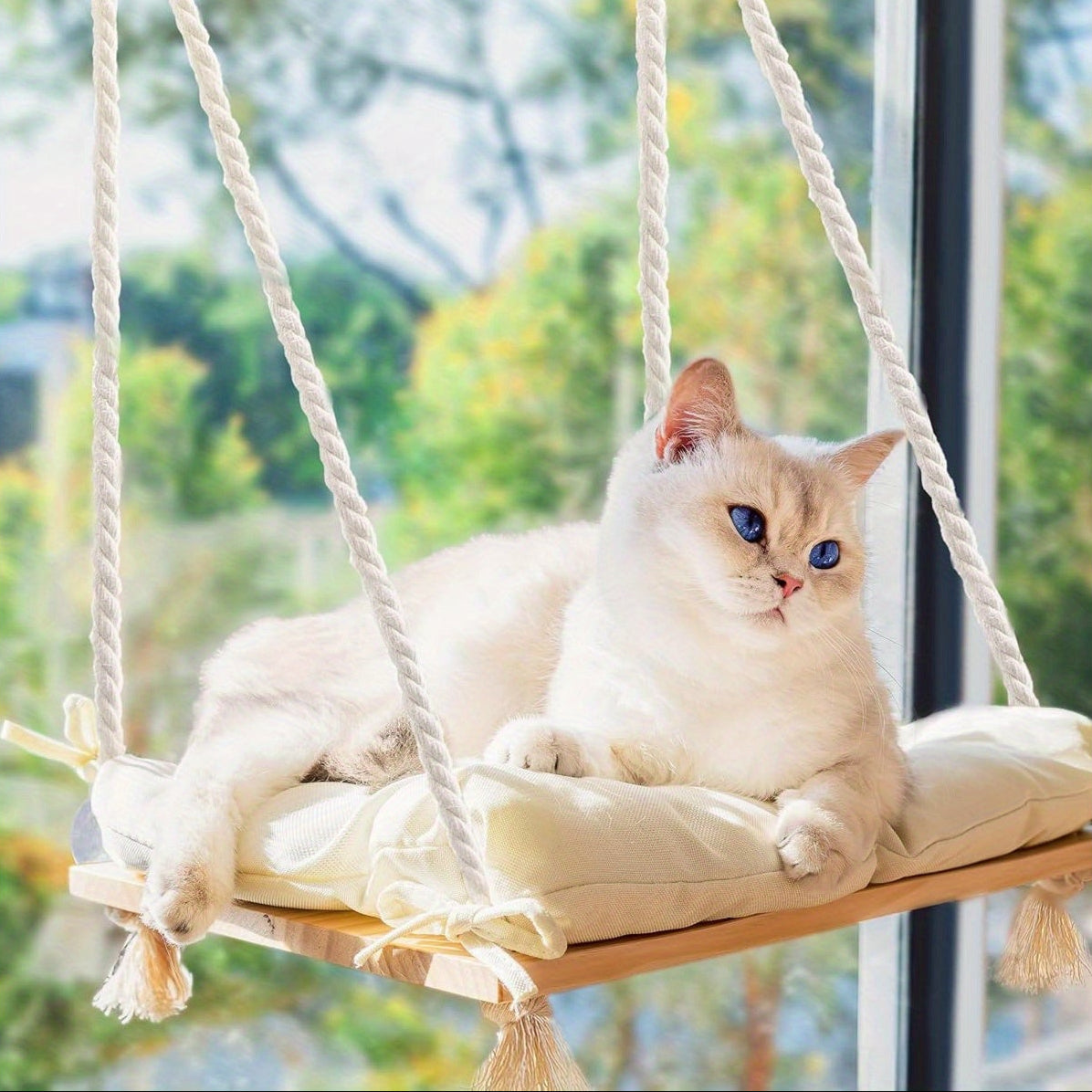 Hamac de Fenêtre en Bois avec Coussin Douillet pour Chats