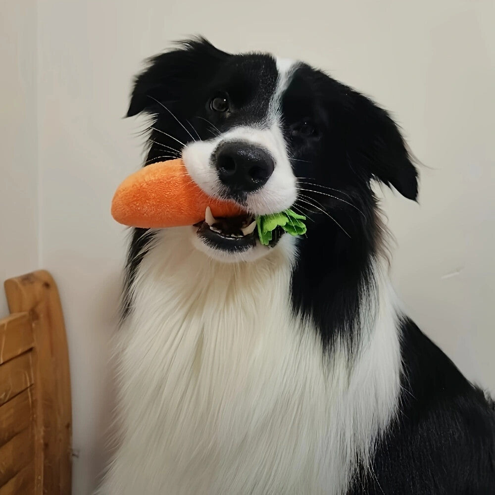 Jeu de Récolte de Carottes en Peluche pour Chiens
