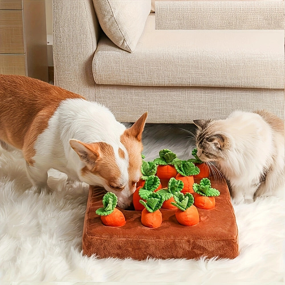 Jeu de Récolte de Carottes en Peluche pour Chiens