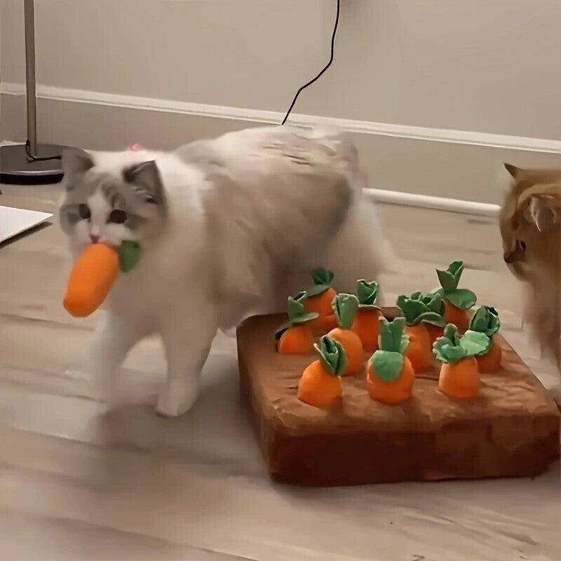 Jeu de Récolte de Carottes en Peluche pour Chiens
