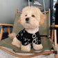 Lunettes Rondes avec Perles pour Chats et Chiens