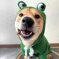 Sweat à Capuche Grenouille pour Chats et Chiens – Pull Vert Mignon en Maille Douce