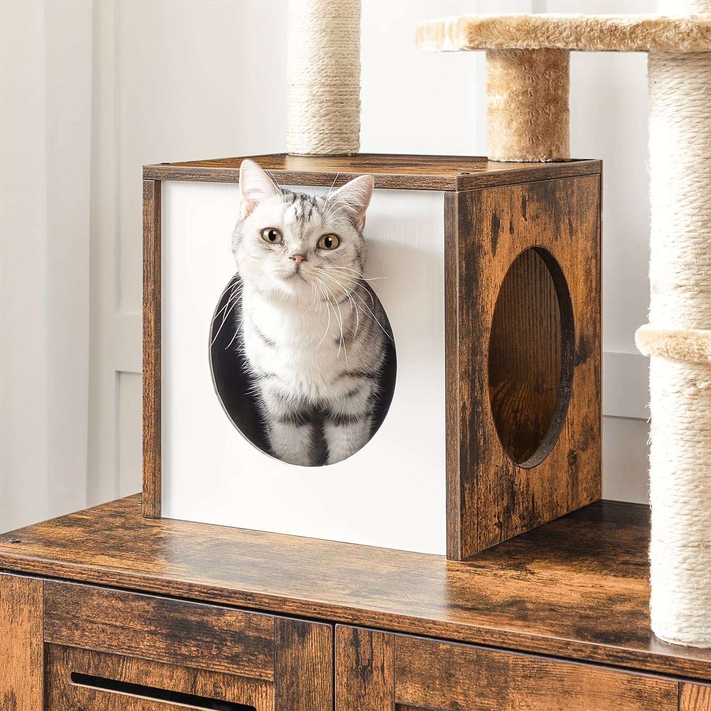 Arbre à Chat avec Meuble pour Litière