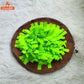 Tapis de Fouille Rond Pliable pour Chien