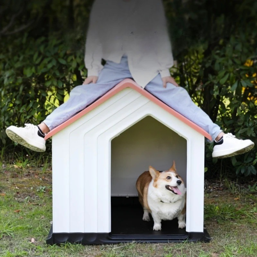 Niche Minimaliste Extérieure en Plastique Rigide pour Chien