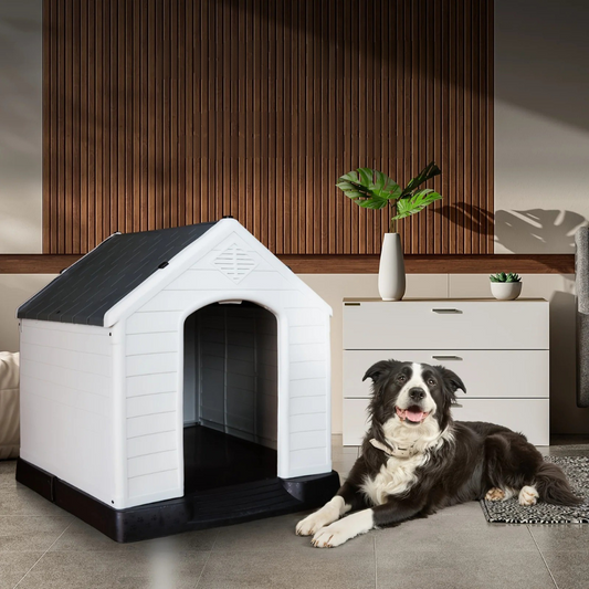 Niche Extérieure Imperméable pour Chien
