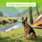 Système de Longe Aérienne pour Chien – 15 m + 3,6 m de ligne de course