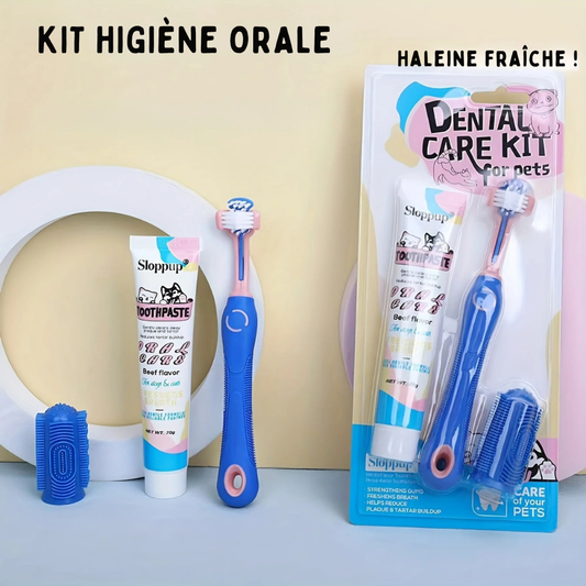 Kit de Soins Dentaires Sloppup pour Animaux