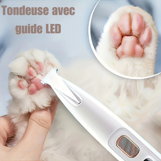 Tondeuse Électrique Compacte pour Toilettage Animalier