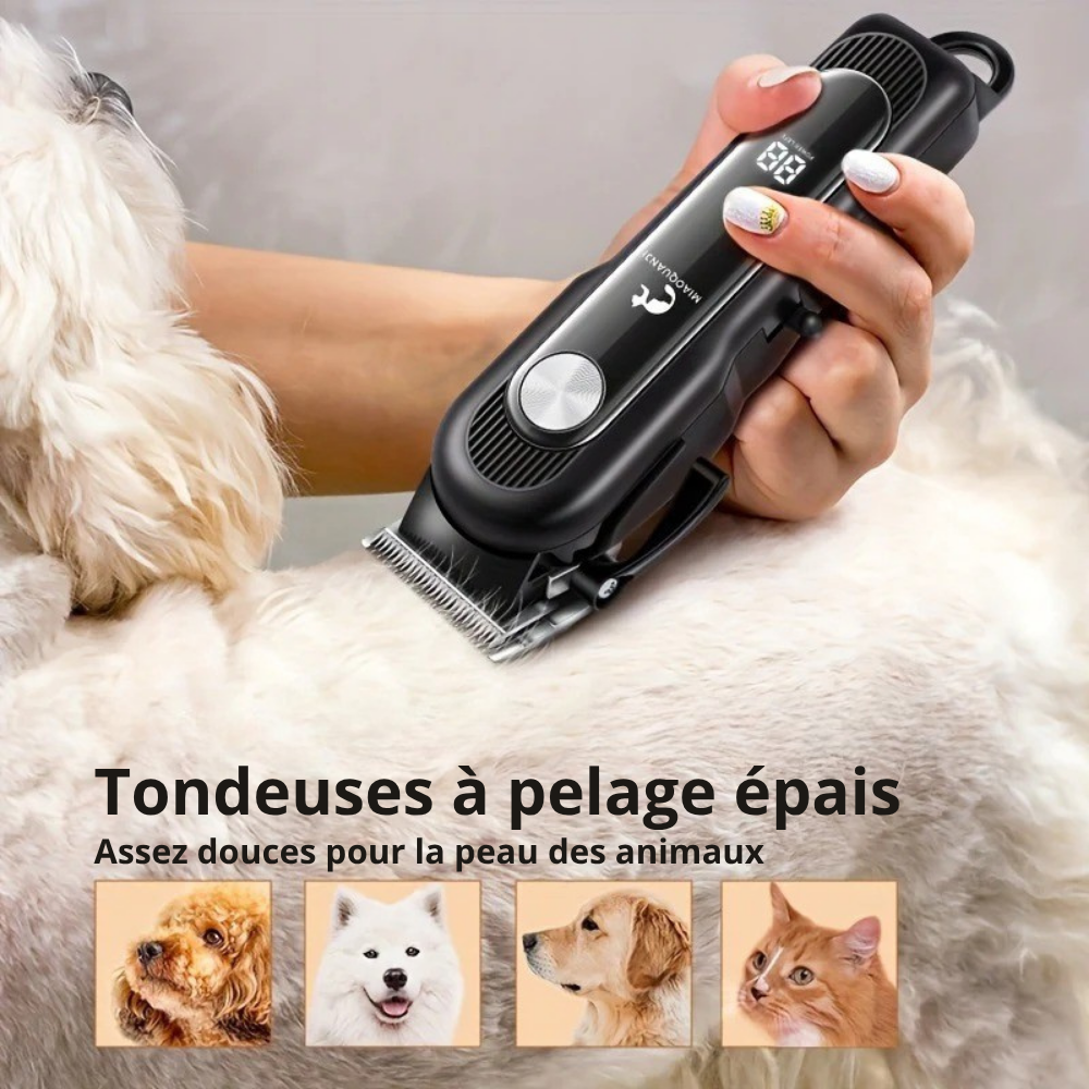 Tondeuse Silencieuse Rechargeable pour Chiens et Chats