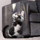 Protège-meubles transparent anti-griffes pour chats
