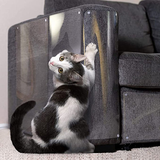 Protège-meubles transparent anti-griffes pour chats