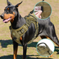 Harnais Tactique Anti-traction pour Chien