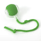 Balle interactive avec queue pour chat – Jeu stimulant et instinctif