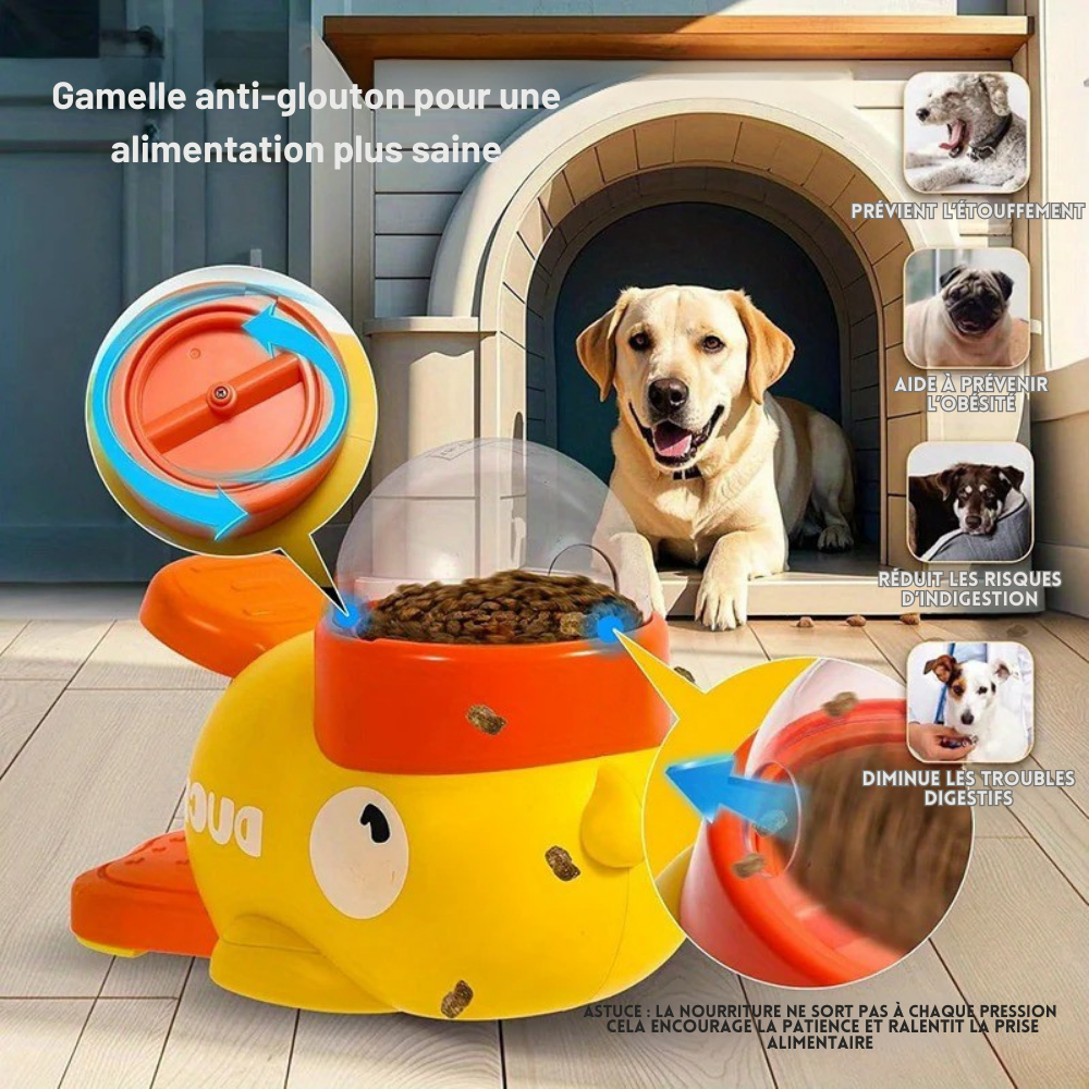 Gamelle Canard interactive pour Chien