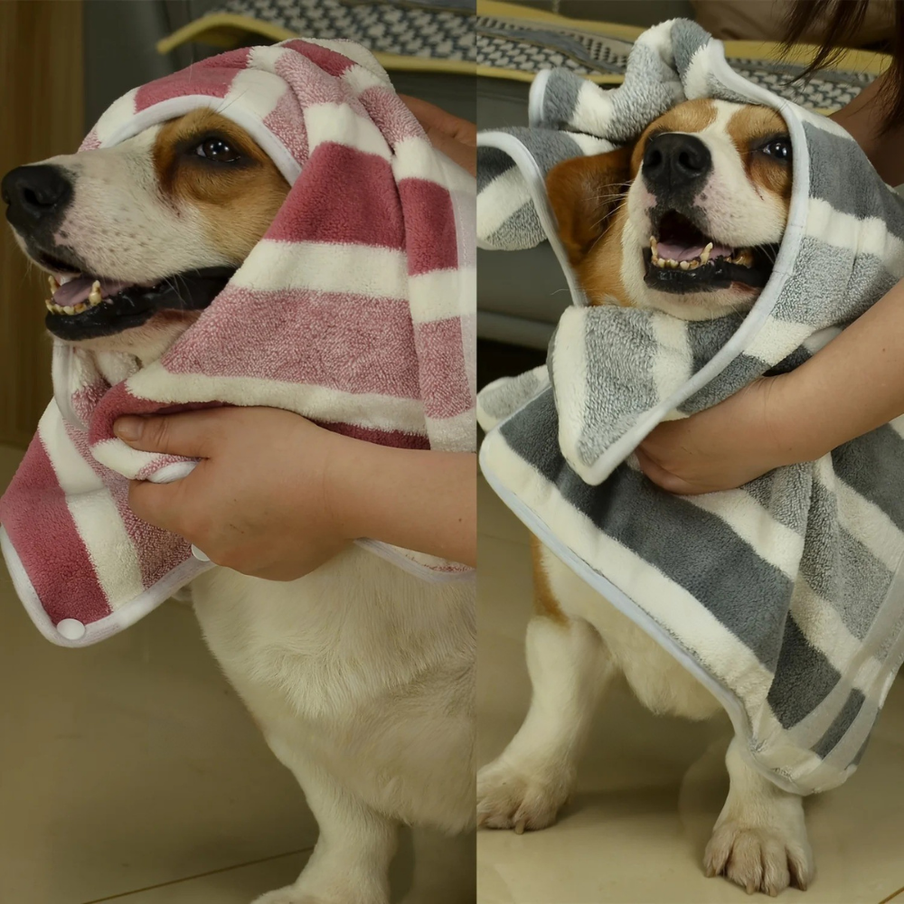 Peignoir Absorbant Rayé pour Chien