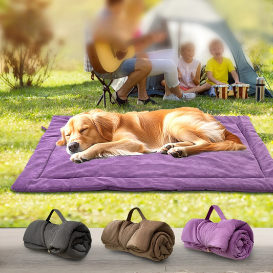 Tapis de Voyage Roulable pour Chien – Compact, Lavable et Tout-Temps