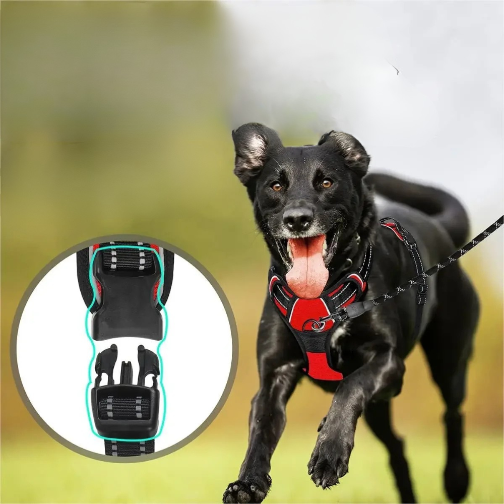 Harnais Renforcé Anti-Traction pour Chien