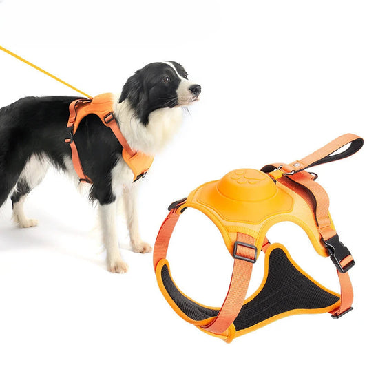 Harnais Confort Total pour Chien – Anti-Traction & Respirant