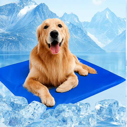 Tapis Rafraîchissant – Matelas en Gel Auto-Refroidissant pour Chien
