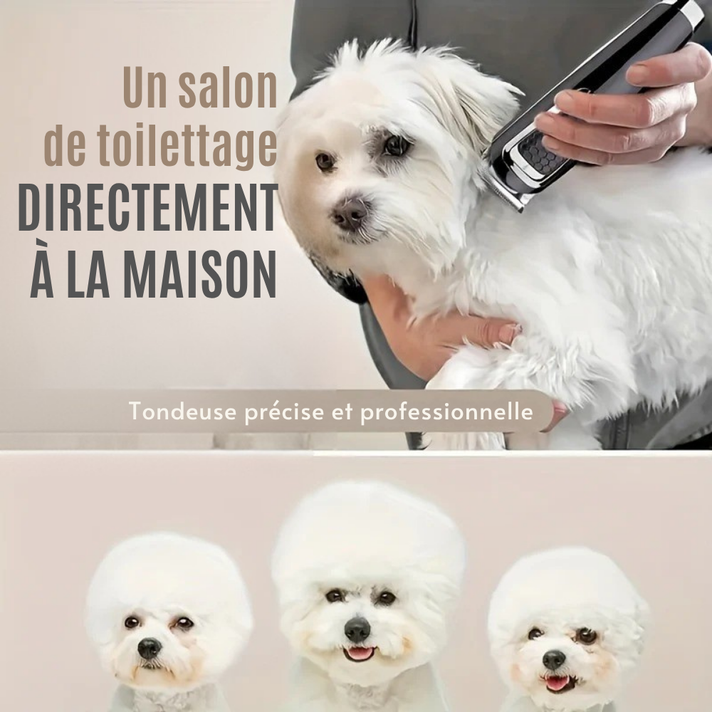 Tondeuse Silencieuse Rechargeable pour Chiens et Chats