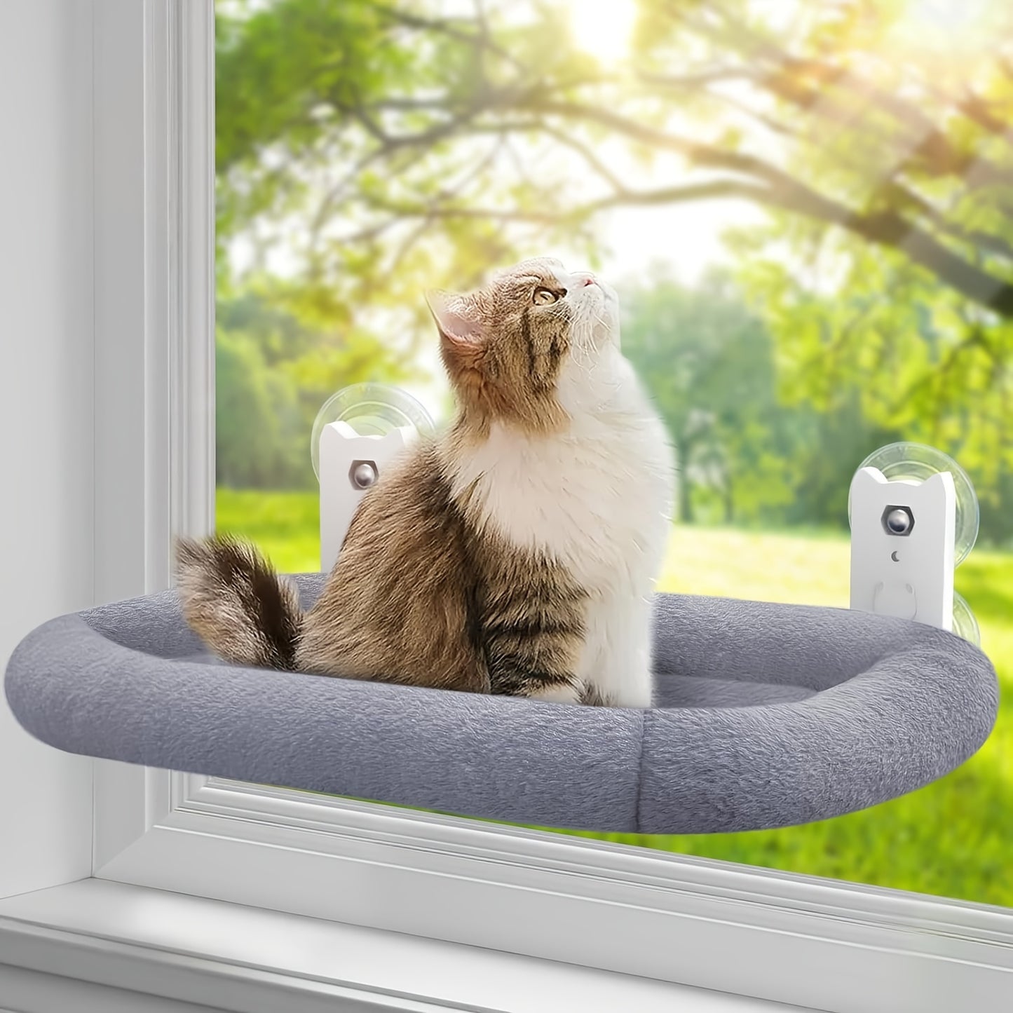 Perchoir de Fenêtre avec Coussin Douillet pour Chat