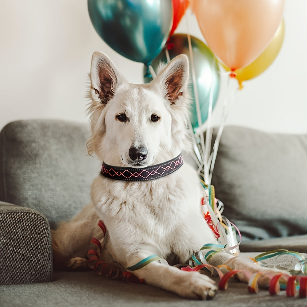 Collier lumineux LED brodé pour Chien