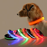 Collier lumineux ajustable pour Chien