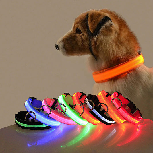 Collier lumineux ajustable pour Chien - sécurité de nuit