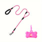 Laisse Corde avec Double Poignée + Porte Sacs pour Chien