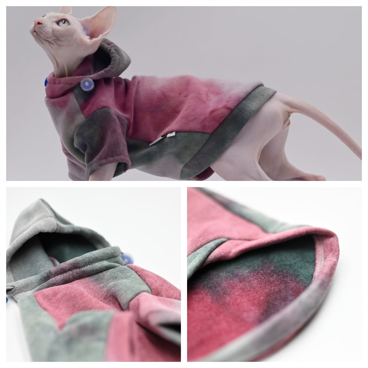 Sweat à Capuche Multicolore pour Chats – Pull Coton Doux