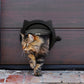 Porte à Battant Rond pour Chat et Petit Chien – Système de Verrouillage 4 Positions