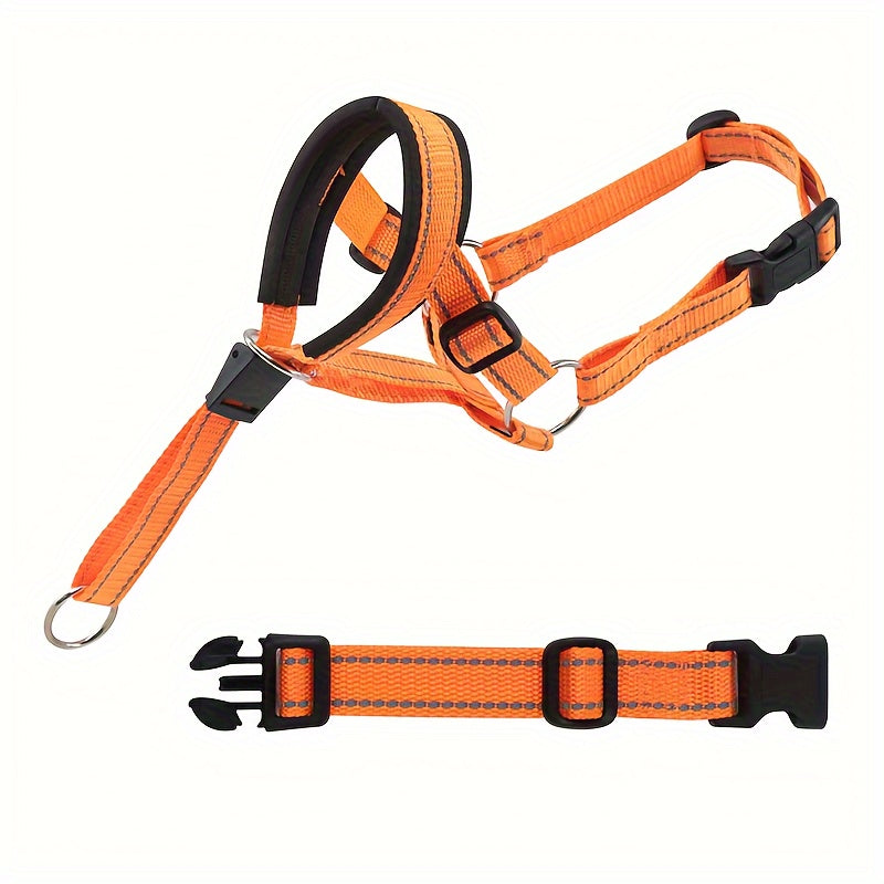 Muselière & Collier Réglable Confort pour Chien